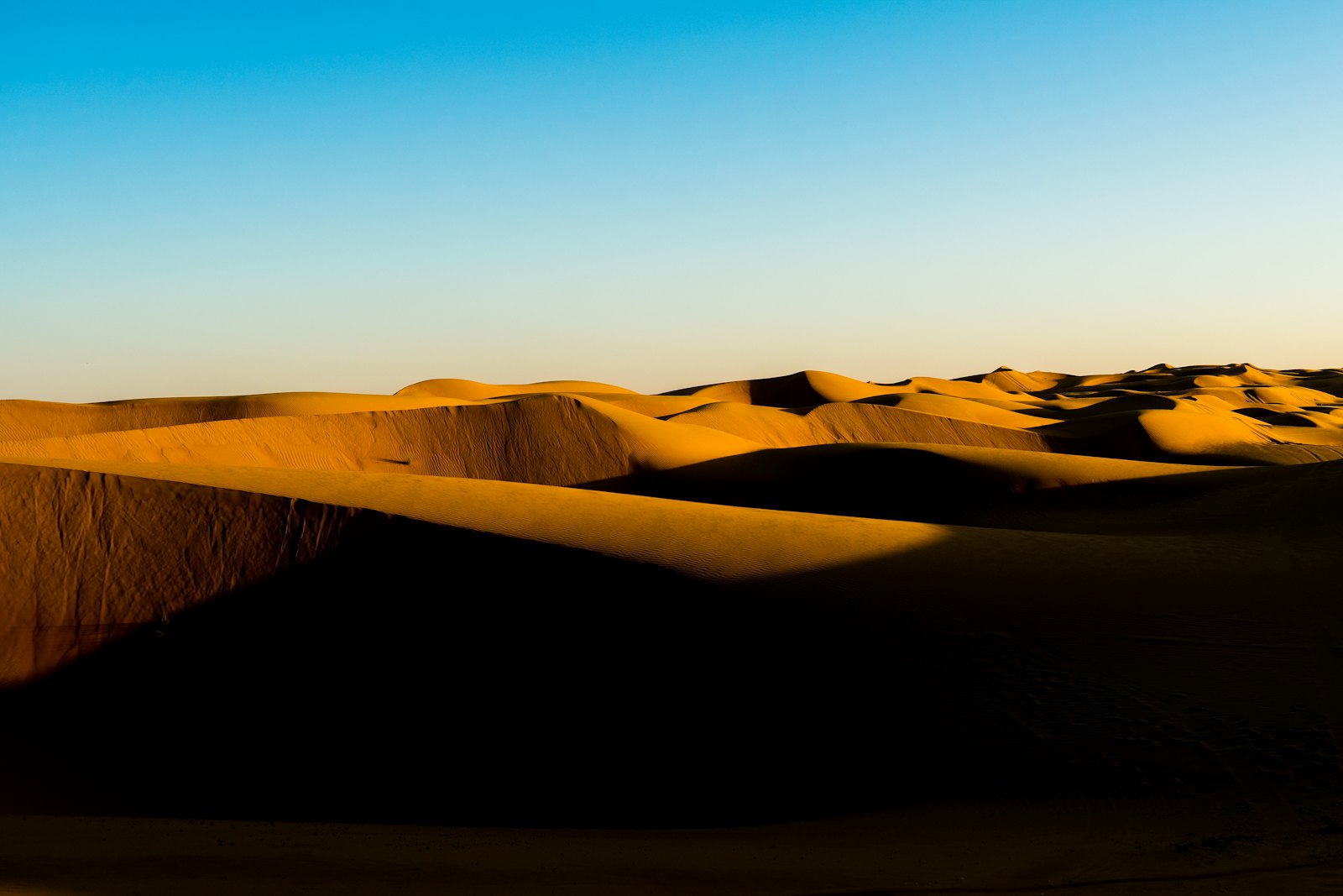 Goldene Sanddünen unter hellem Himmel in den Wahiba Sands